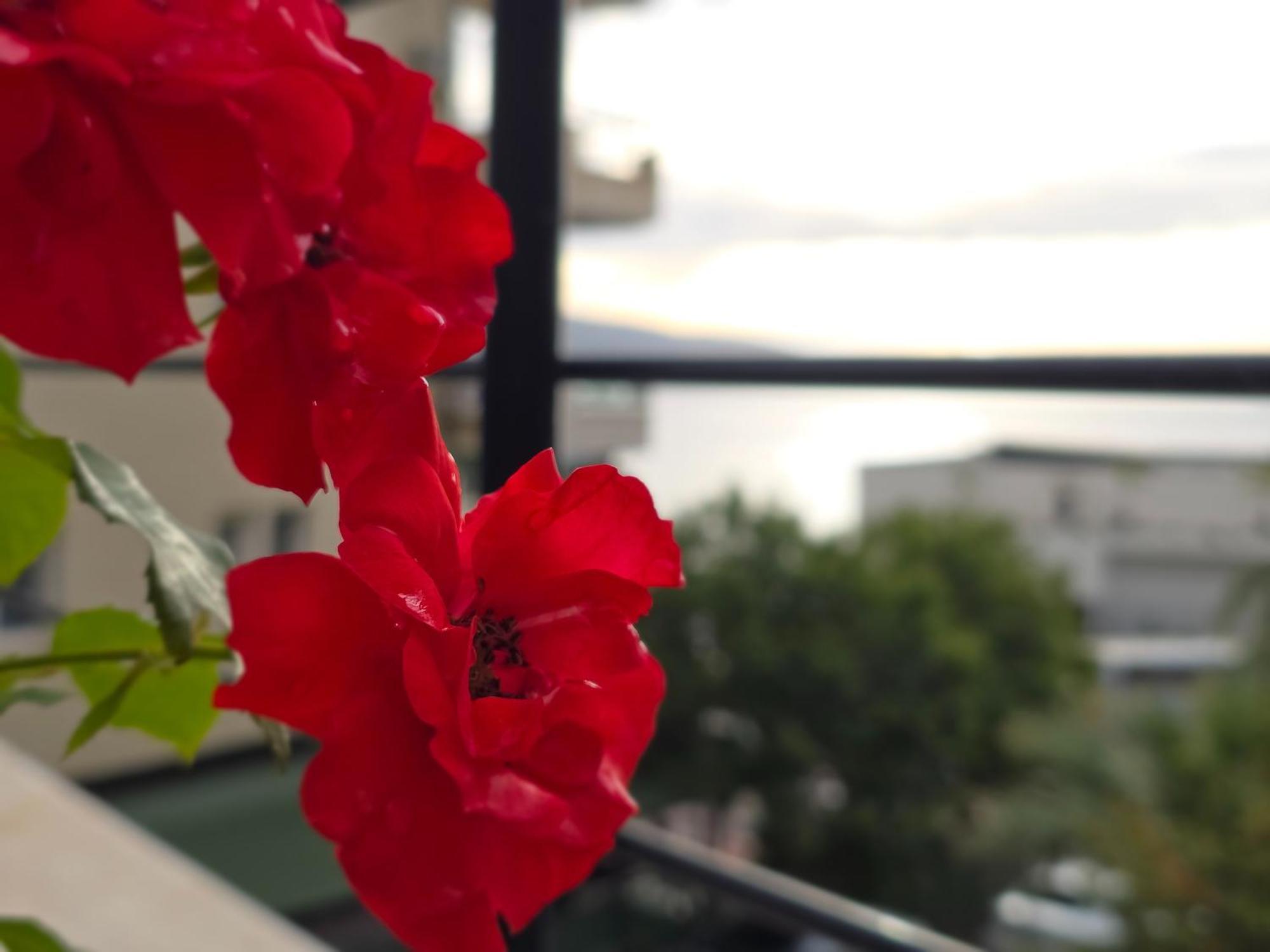 Valza Boutique Hotel Влёра Экстерьер фото